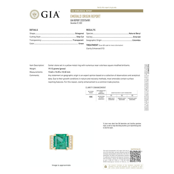 GIA Certified 13 Carat Colombian Emerald Men's Ring in 18K Gold With Princess Cut Diamonds